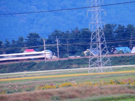 今日も灰色の空・・土曜日