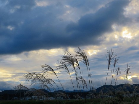 夕方に少し青空・・金曜日もおしまい・・
