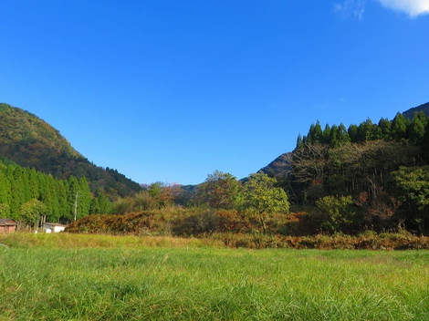 気温低温で朝・・一日晴れて10月もおしまいです