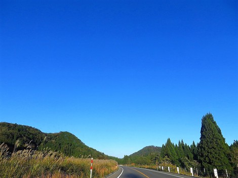 気温低温で朝・・一日晴れて10月もおしまいです