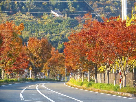 気温低温で朝・・一日晴れて10月もおしまいです