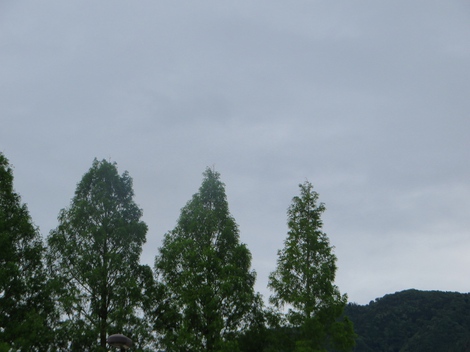 久しぶりに大雨注意報‥高島市