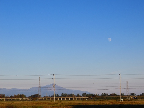 11月らしい陽射しが一日・・