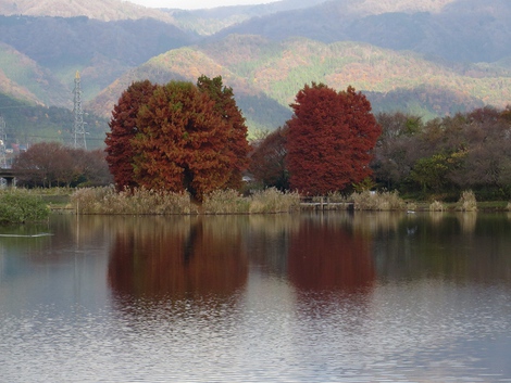 洗濯物乾く天候で金曜日・・そして風景
