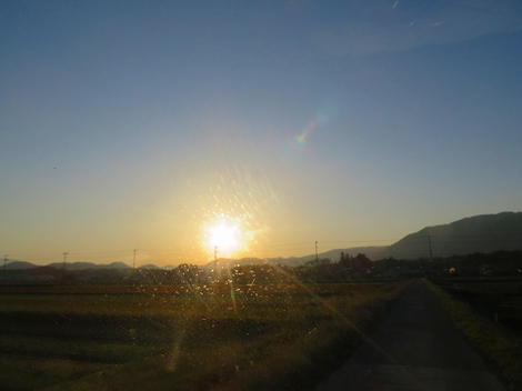 絶好の日和でした・・倒木処理の日曜日