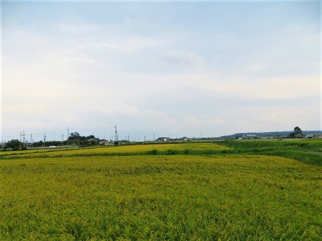 土曜日～夏と秋