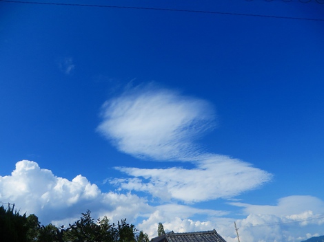明日から雨か？