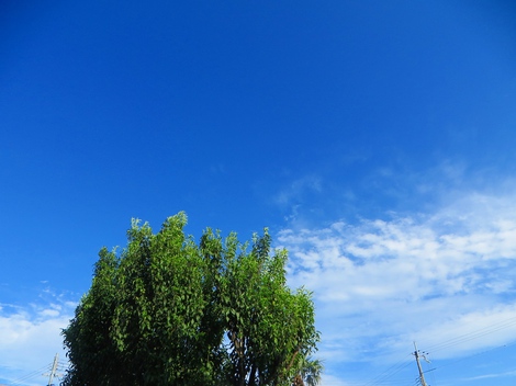 明日から雨か？