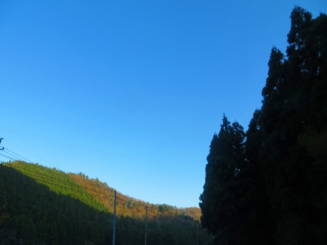 秋晴れの金曜日・・夕景も秋らしかった・・