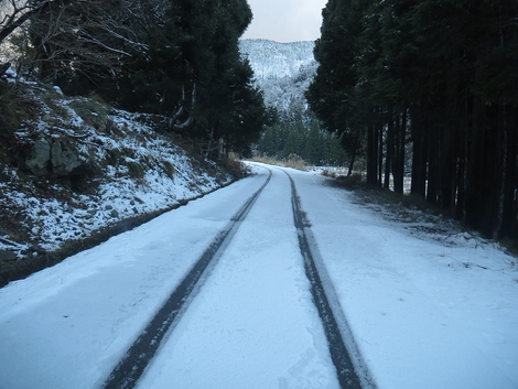 雪景色ばかりなんですが～～金曜日