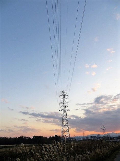心地よい風景が朝から夕まででした・・。