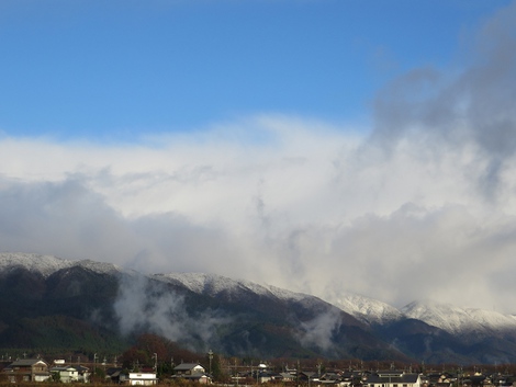 冠雪を伊吹山に見えて～～今日もメタセコイヤ並木風景が・・