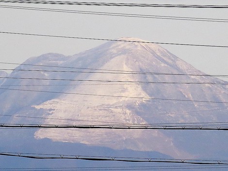 冠雪を伊吹山に見えて～～今日もメタセコイヤ並木風景が・・
