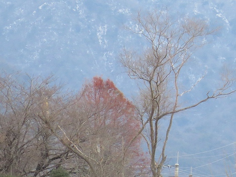 年の瀬～景色・・明日は晦日で！