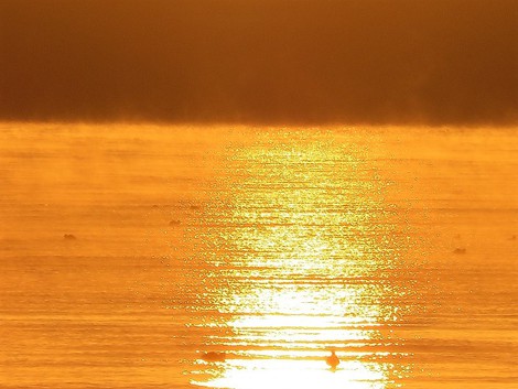 冷え込んで・・朝陽の琵琶湖・・