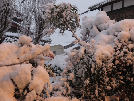 高島市に・・大雪警報も・・