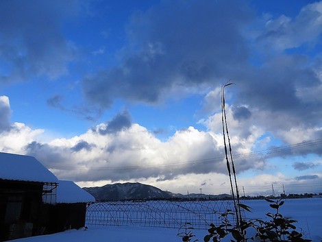 交互に青空と降雪の一日・・大雪警報も解除されて・・