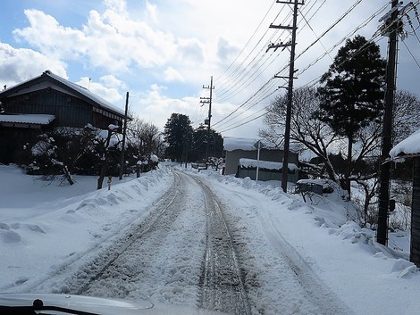 今日も晴れたり雪だったり～～メタセコイヤ並木も