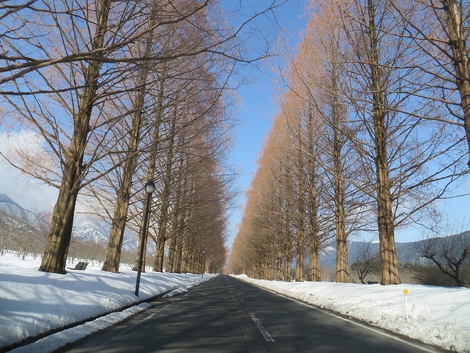 冬晴れ