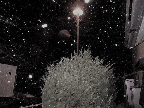 夜になって吹雪く・・大雪注意報も～～