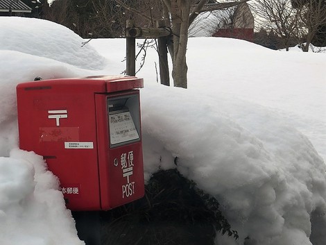 低温で～～思ったより融雪せず！