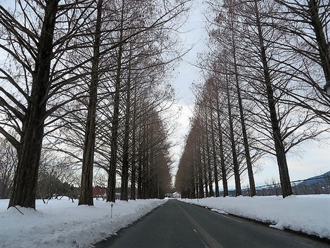低温で～～思ったより融雪せず！
