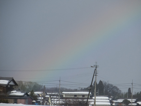 小雨の一日・・虹も少し見えて・・蝋梅も