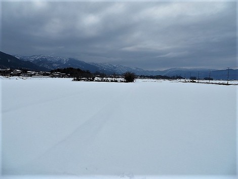 2月初日は・・夕方に冷たい雨が～～深夜から雪かな？