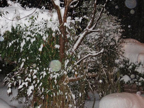 早朝から・・降雪中の火曜日朝