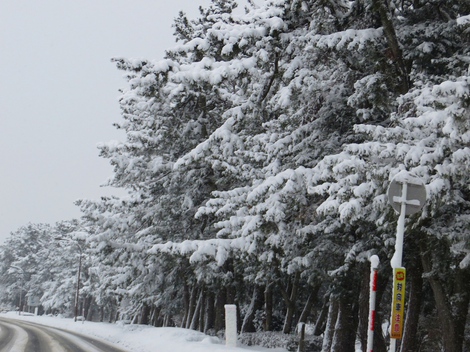 毎日・・雪景色ばかりですが・・低温も続き・大雪注意報も更新され・・・