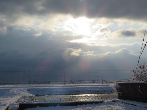 春の雪・・・寒い朝です