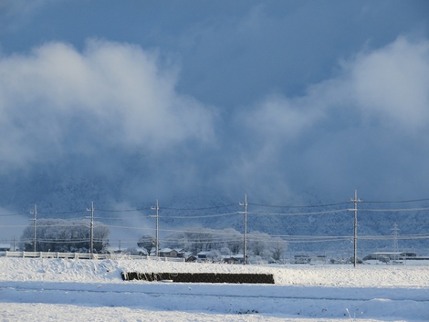 春の雪・・・寒い朝です