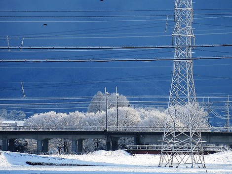 春の雪・・・寒い朝です