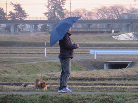 今朝の空～～今月も最後の一週間