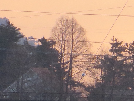 今朝の空～～今月も最後の一週間