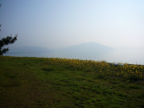 朝曇りから土曜日
