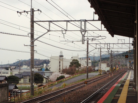 桜は青空で～～