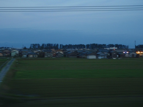 桜は青空で～～