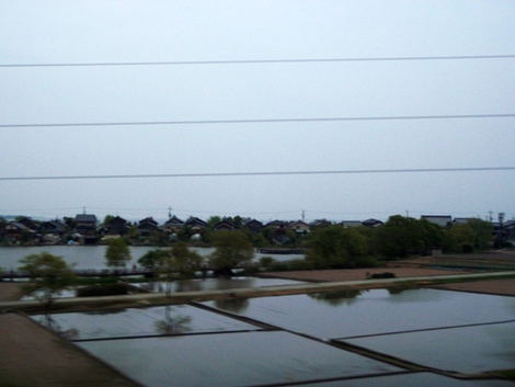 穏やかに～タンポポ綿毛～湖西線車窓～