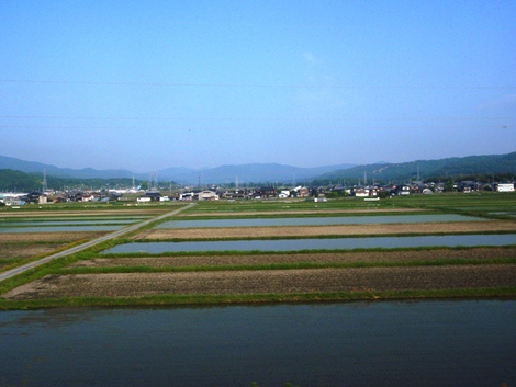 5月15日~湖西線から見える風景