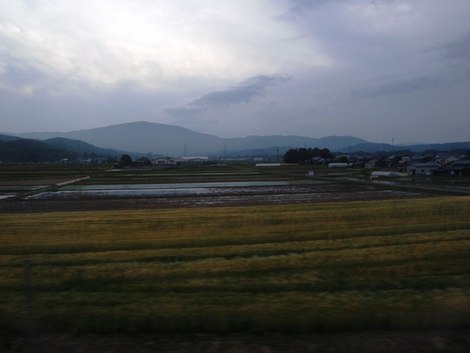 5月15日~湖西線から見える風景