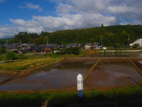 ５月２１日（木曜日）～朝風景