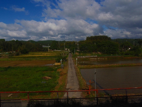 ５月２１日（木曜日）～朝風景