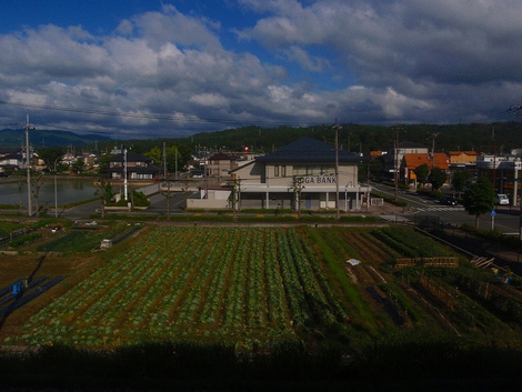 ５月２１日（木曜日）～朝風景