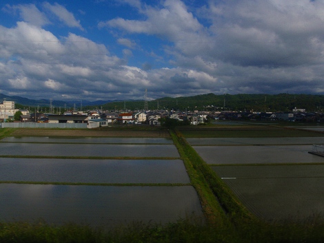 ５月２１日（木曜日）～朝風景