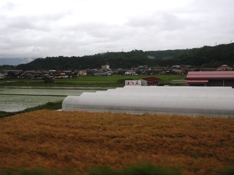 ６月３日～車窓から雨の風景