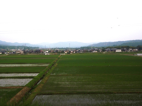 白紫陽花~~湖西線車窓風景～～