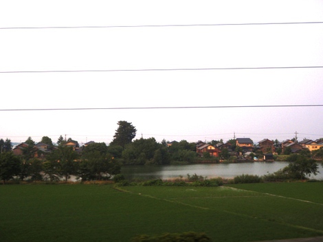 白紫陽花~~湖西線車窓風景～～