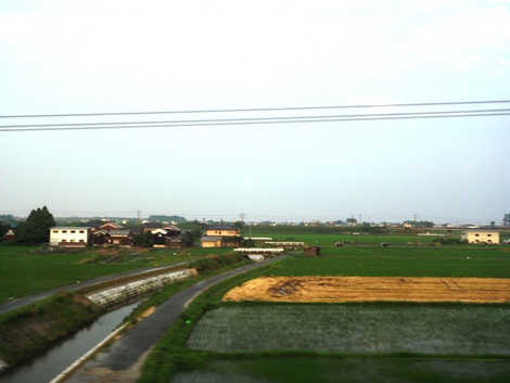 白紫陽花~~湖西線車窓風景～～