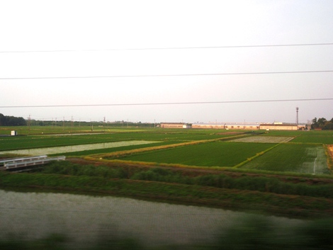 白紫陽花~~湖西線車窓風景～～